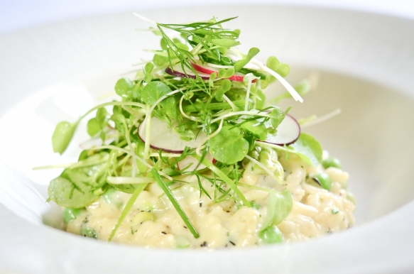 Wedding Catering Cornwall 8